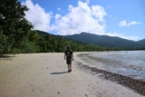 The Perfect Daintree Rainforest & Cape Tribulation Day Trip