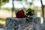101 Death Quotes That Will Make You Think Differently About Life, Loss and Meaning