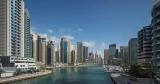 Dog Walking in Dubai | Dubai Expat Blog
