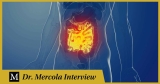 Ahvie Herskowitz – Longevity Expert Shares Clues About Drivers of Chronic Disease