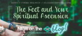 The Best Blog For Spiritual Ascension and Awakening