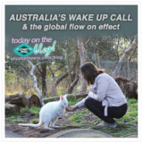 The Best Blog For Spiritual Ascension and Awakening