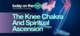 The Best Blog For Spiritual Ascension and Awakening