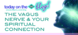 THE VAGUS NERVE AND YOUR SPIRITUAL CONNECTION
