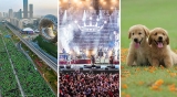 The unmissable events in Dubai happening this weekend