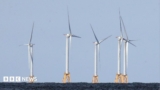 US strikes $1.2bn deal to pay German firm to halt offshore wind projects