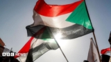 Sudan civil war: Army drone strike on Darfur court session kills 35, rights group says