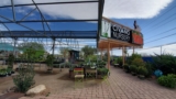 This Sprawling Tucson Garden Nursery Hides Rare Desert Plants Longtime Gardeners Drive Across Arizona To Find