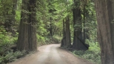 Every Mile of This Short California Drive Feels Like Driving Through a Postcard