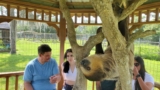 This Florida Ranch Lets You Cuddle Baby Sloths and Kangaroos and It Barely Feels Real