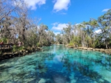 There Is a Spring-Fed Florida Park Where You Can Snorkel With Manatees for Under $10