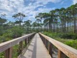 This Pristine Florida Beach Looks So Much Like the Caribbean You’ll Skip the Passport