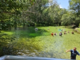 There’s a Secret Crystal-Clear Spring Near Gainesville Where You Can Snorkel and Tube All Day for Under $8