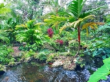 This Broward Arboretum Is the Free Little Escape Locals Want to Keep to Themselves