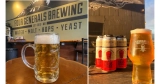What Is Festbier and Why You Should Drink It Now