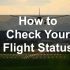 9 Tips For Flying With A Pet
