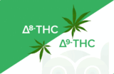 Delta-9 vs Delta-8 THC: What’s the Difference?