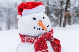 120 Funny Christmas Quotes for Your Friends, Family and Instagram (and Less Stress)