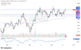 September 2026 – Rehana William |Financial Consultant _Forex_Gold Xauusd| Fund Manager