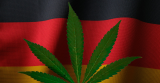 Go Germany Go! Weed Imports Hit Record High as Growers’ Clubs Thrive