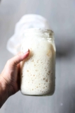 Easy Gluten-Free Sourdough Starter Recipe (Beginner-Friendly)