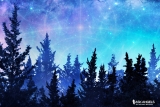 Unlock The Benefits of Grounding and Centering Your Energy Now!