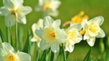 52 April Quotes for Hope and Inspiration