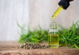 A comprehensive guide to buying CBD oil