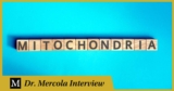 Hemal Patel – Exploring the Miraculous World of Mitochondria