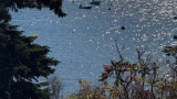 September 27, 2026