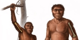 Little Foot Still Climbed Like an Ape 3.67 Million Years Ago