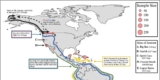 DNA Lineages No Older Than 21,000 Years