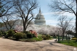 The Democratic Center Holds—For Now