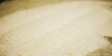 Sake Industry News. Issue #159.