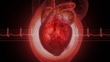 Women’s arteries may start changing decades before menopause—and estrogen may not be the reason