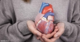 Human Hearts Can Regrow Some Muscle Cells After Severe Damage