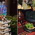 Celiac.com Video News: November 2025