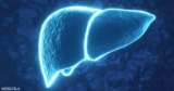 How Molecular Hydrogen Fights Inflammation and Reverses Fatty Liver Disease