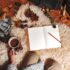 The Labrador Retriever:  America’s Most Popular Dog Breed and Beloved Family Companion