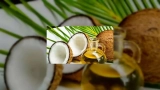 Best Oils for Hair Growth in Summer: Benefits of Coconut, Amla, Castor and Jojoba Oils