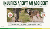 Injuries Aren’t an Accident — Dr. Peter Dobias – Dr. Dobias International