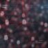 The Visibility Growing Businesses Need to Scale