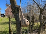 Resonating with a Gourd – Allegra Lab