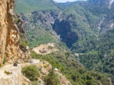 6-Day Yosemite, Kings Canyon & Sequoia Road Trip Itinerary