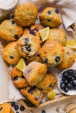 Lemon Blueberry Yogurt Muffins – Eat Yourself Skinny