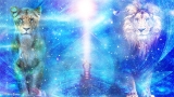 What is the 8/8 Lions Gate Portal of 2025?