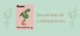 Bring Your Home to Life with Houseplants