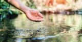 12 Somatic Healing Exercises to Improve Your Mental Health