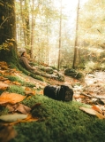 What Nature Teaches Us About Leading with Seasonal Intelligence