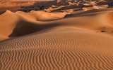 Arabia’s vast desert was once regularly lush and green